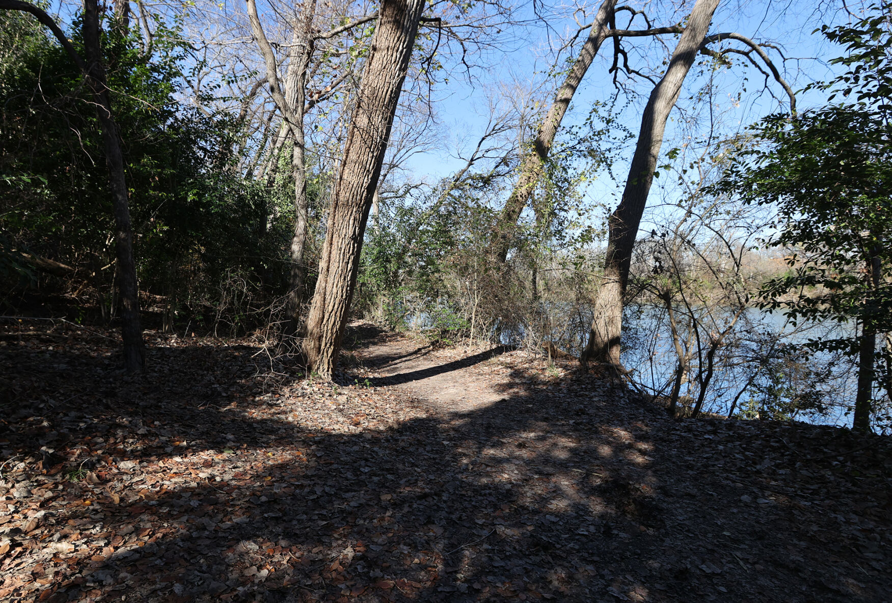 Council Trails